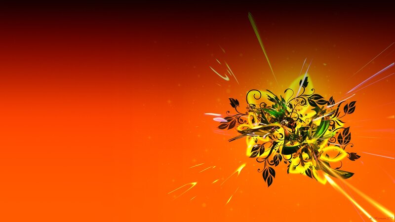 Floral Explosion Design