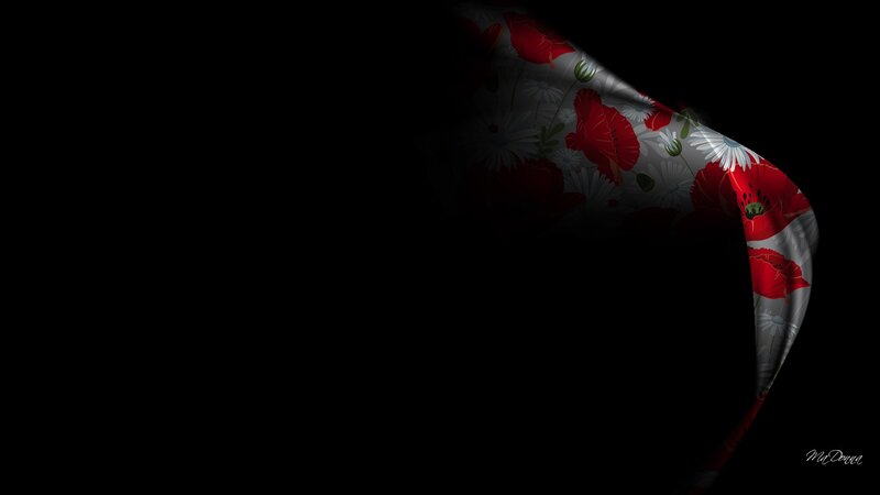 Floral Fabric on Dark Background