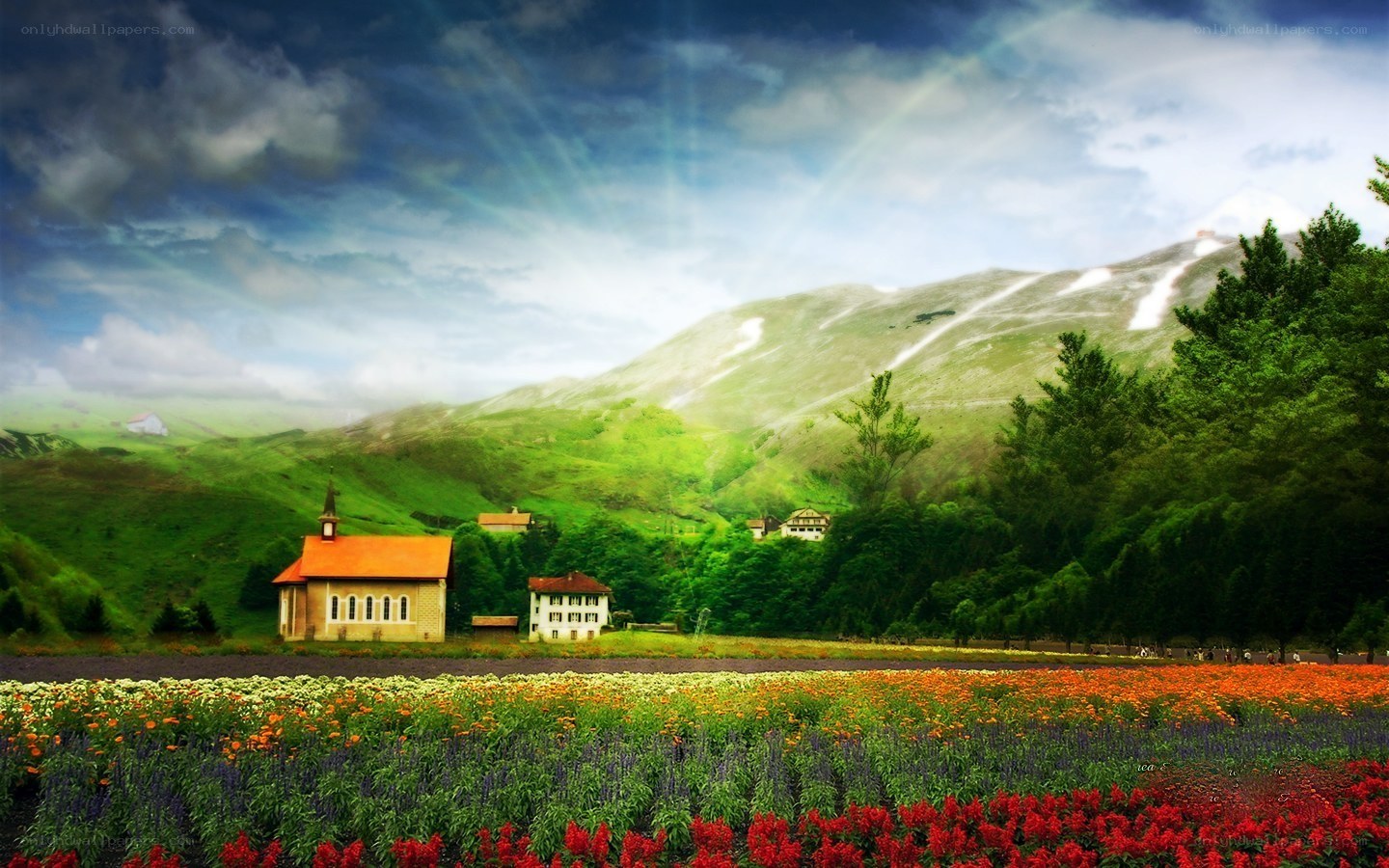 Floral fields with mountain village