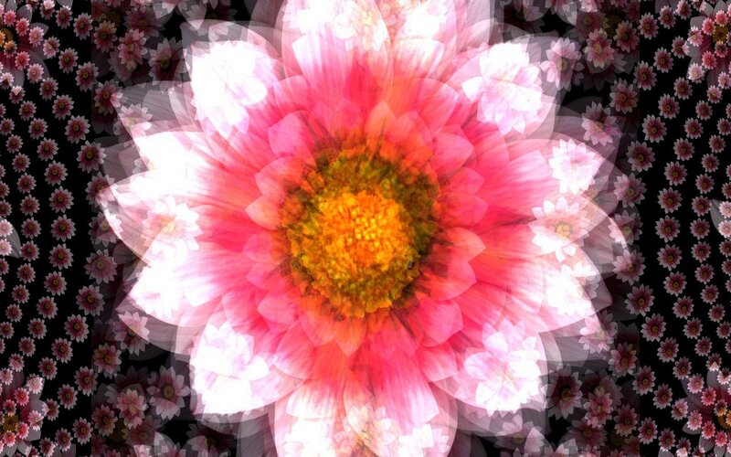 Floral fractal pattern
