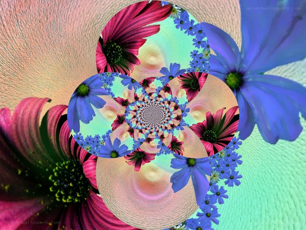 Floral fractal spiral