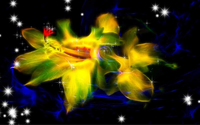 Floral fractal with stars