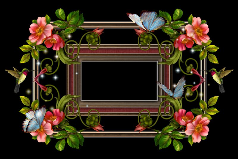 Floral Frame with Birds and Butterflies — Black