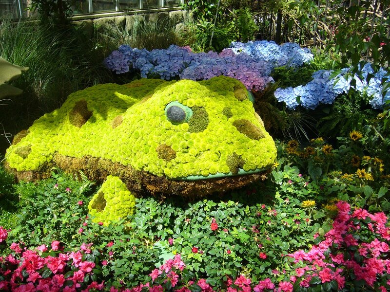 Floral frog sculpture in garden