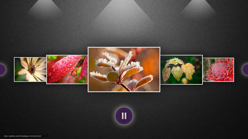 Floral gallery slideshow
