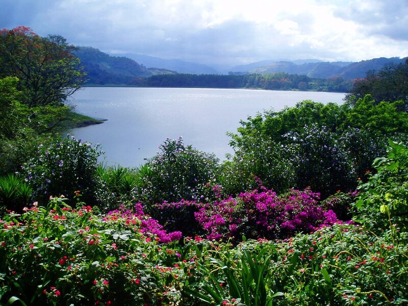Floral garden by a lake