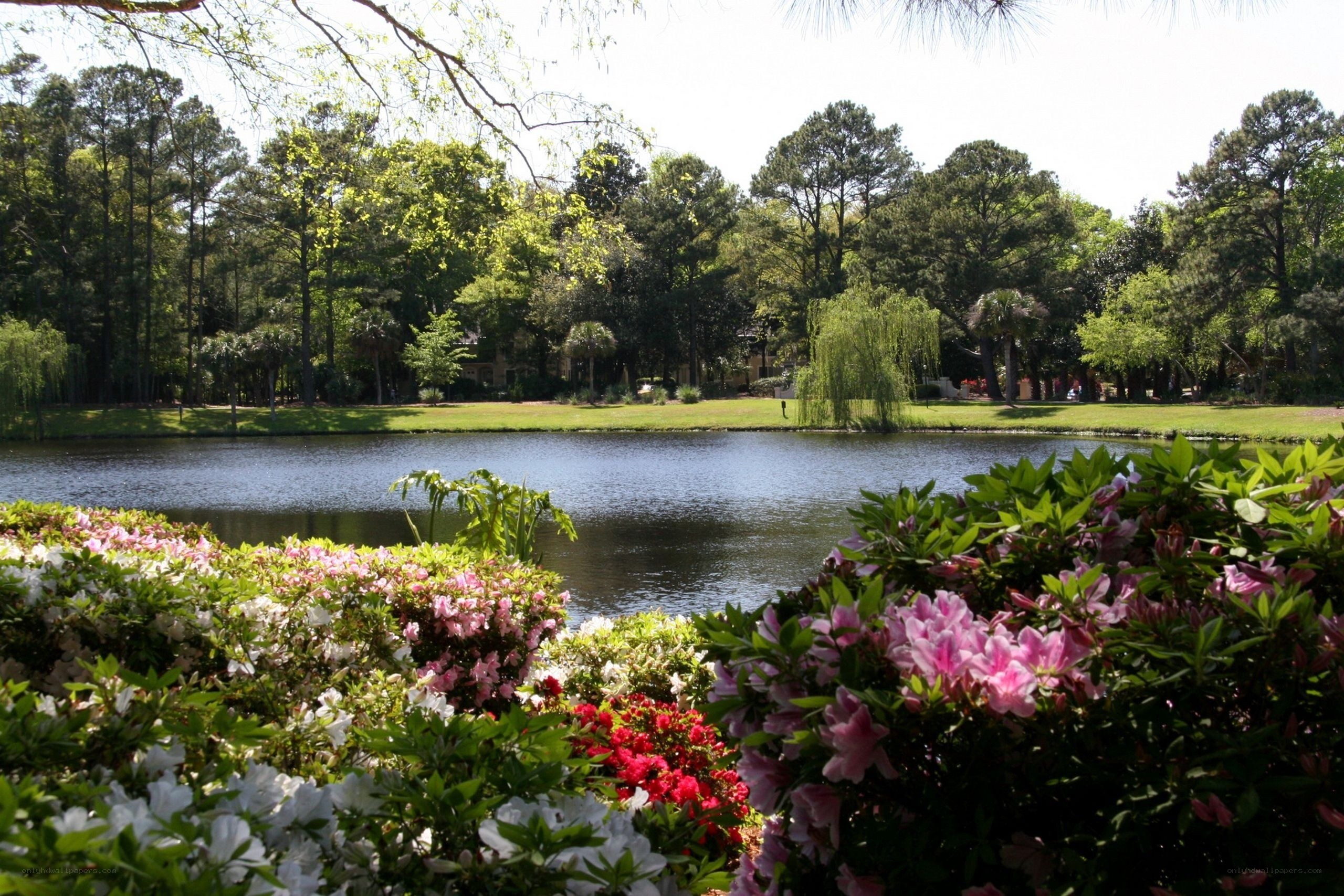 Floral garden by a pond