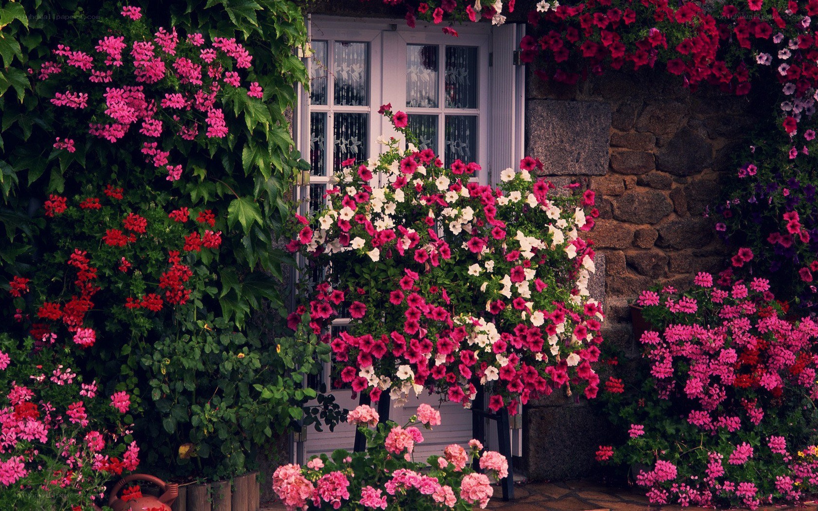 Floral garden by a stone house