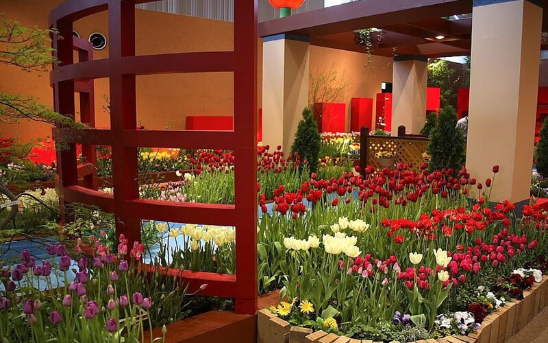 Floral garden display with tulips