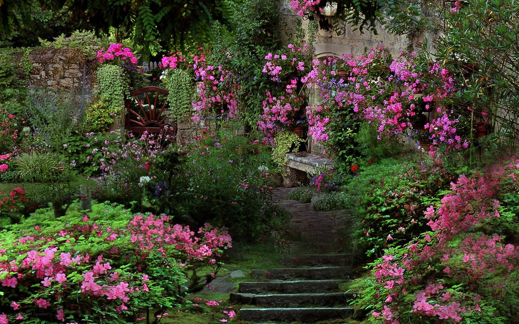 Floral garden path