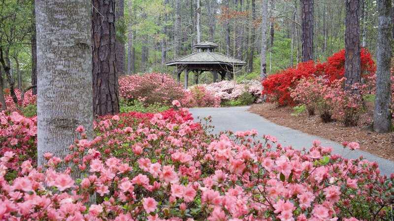 Floral garden path with gazebo