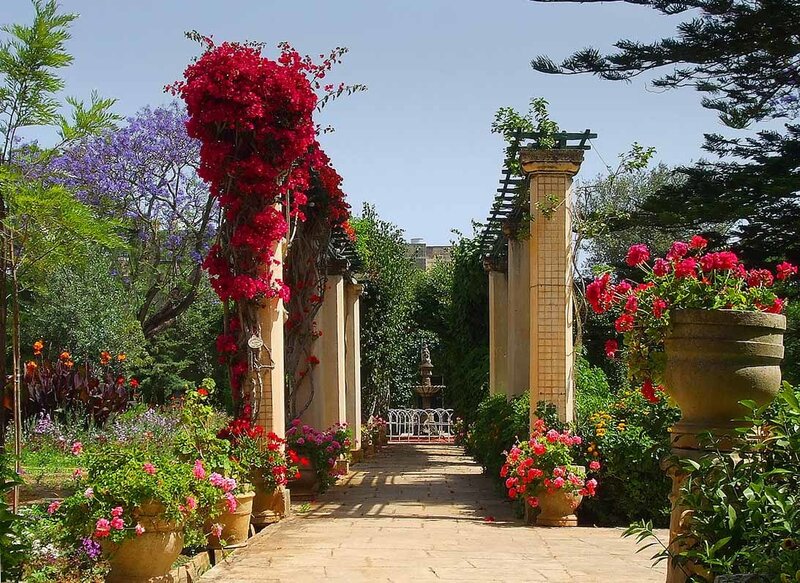 Floral garden pathway