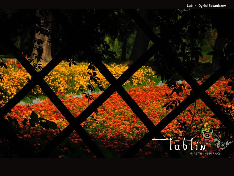 Floral garden view from trellis