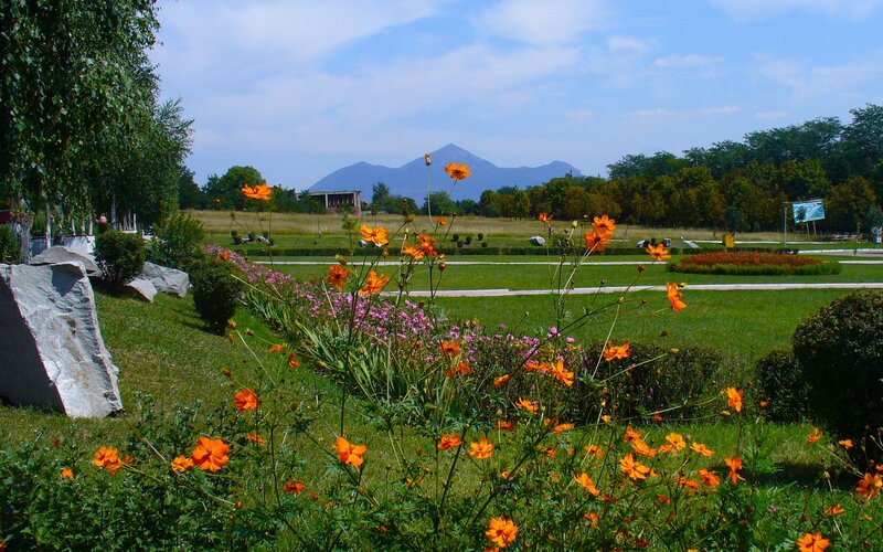 Floral garden with mountains