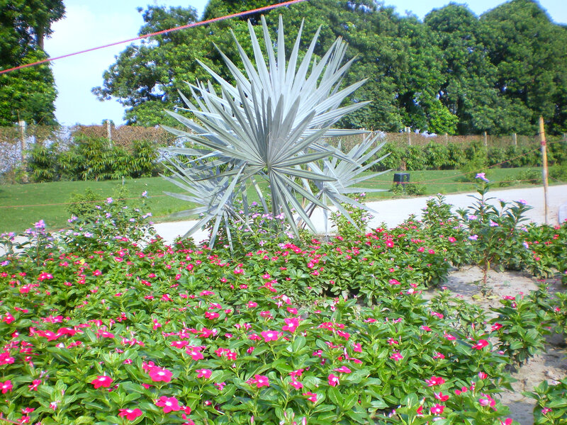 Floral garden with palm sculpture