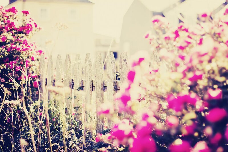 Floral garden with picket fence