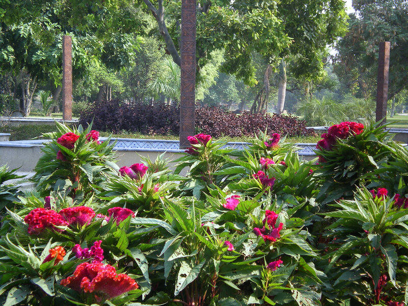 Floral garden with red flowers