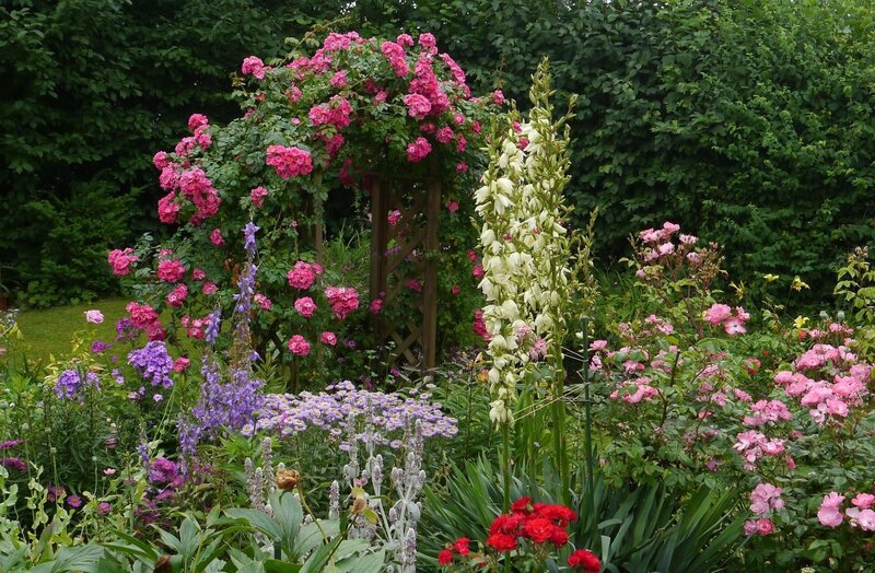 Floral garden with rose arch