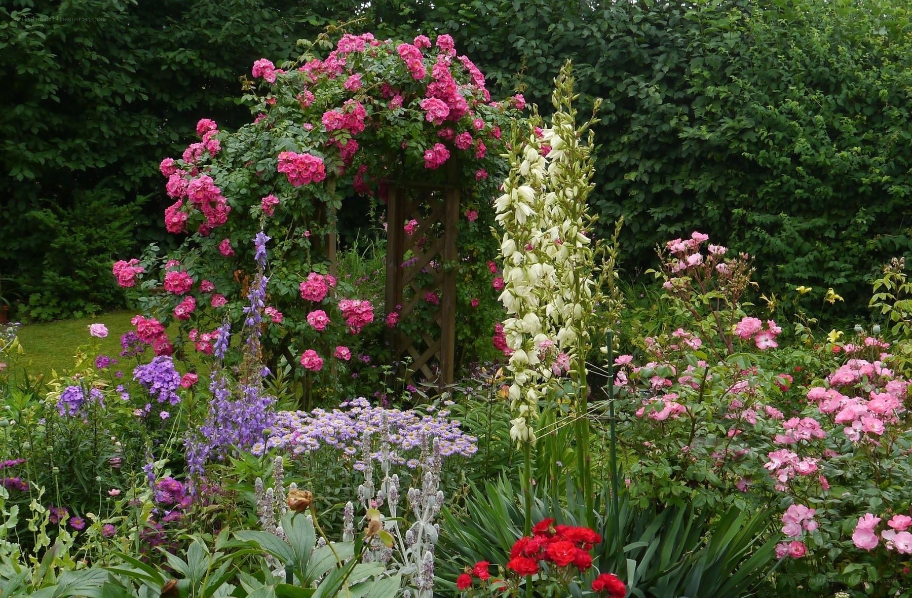 Floral garden with rose arch