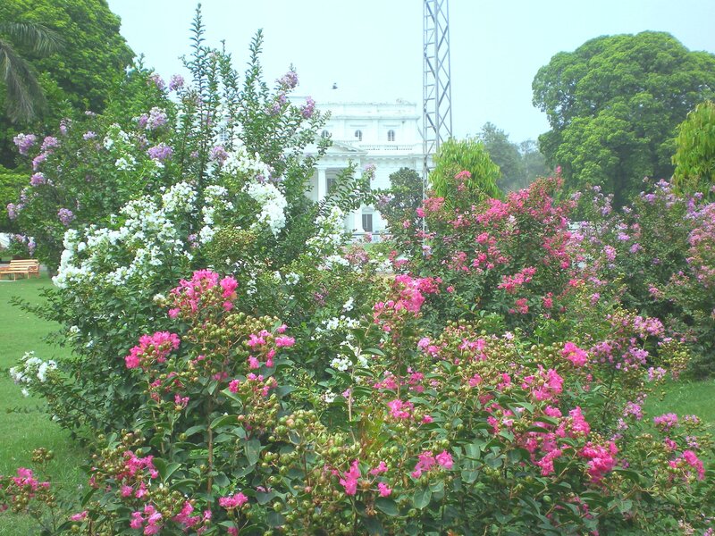 Floral garden with white building