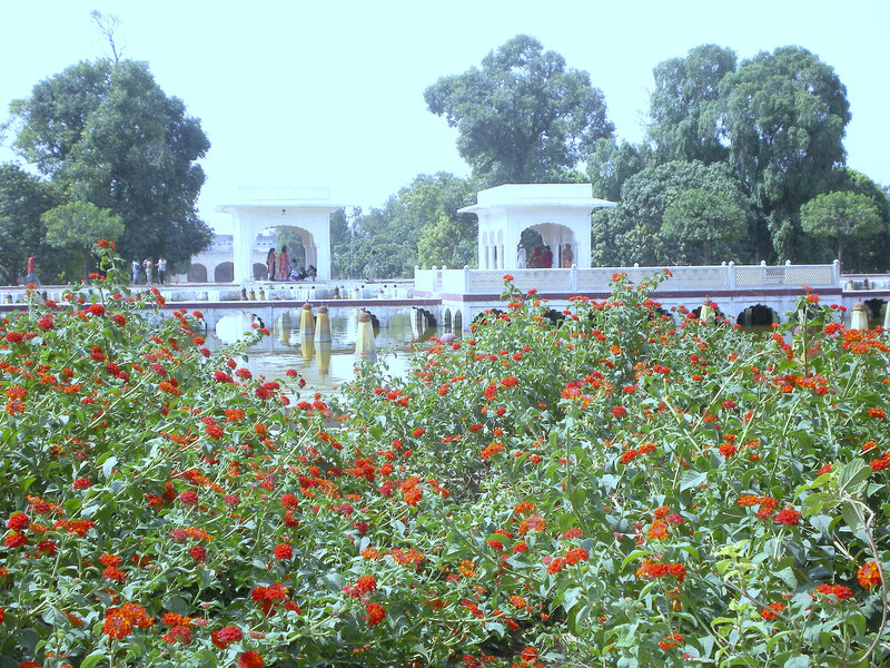 Floral garden with white pavilions