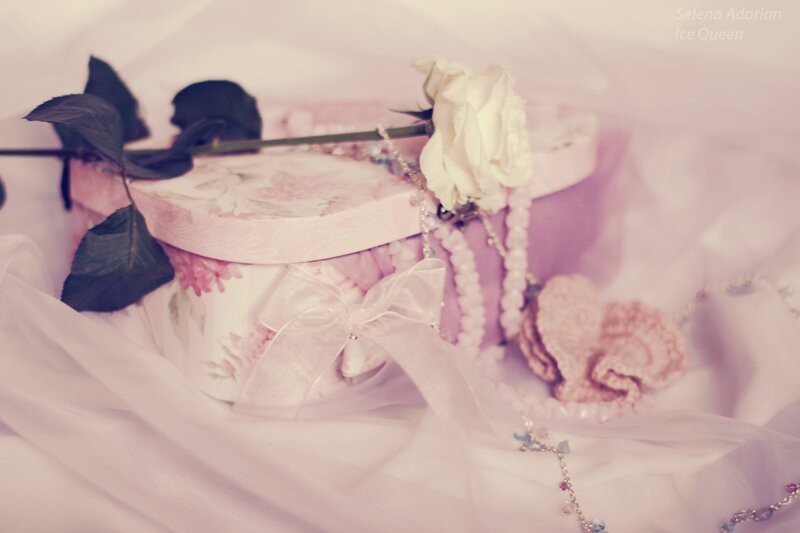 Floral Gift Box with Rose