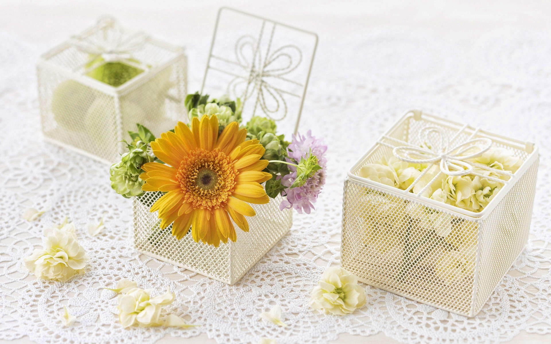 Floral gift boxes on lace
