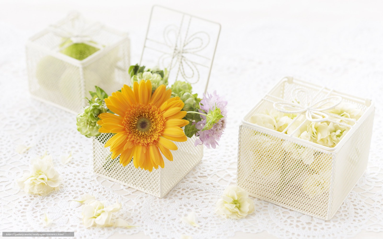 Floral gift boxes on lace