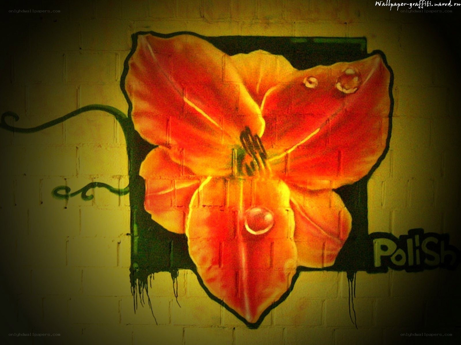 Floral graffiti on brick wall