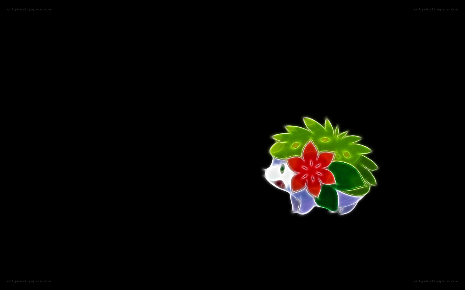 Floral hedgehog character
