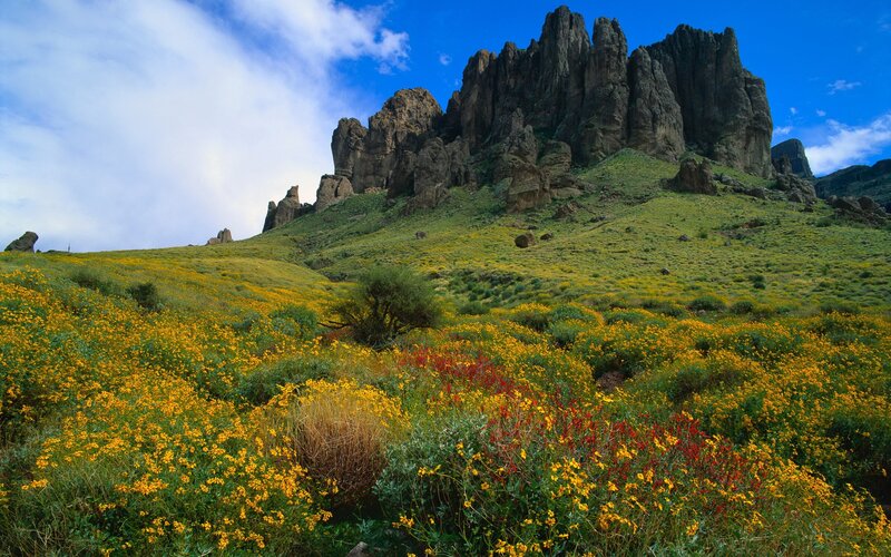 Floral hills with rock formations