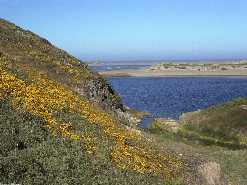 Floral hillside overlooking a lagoon