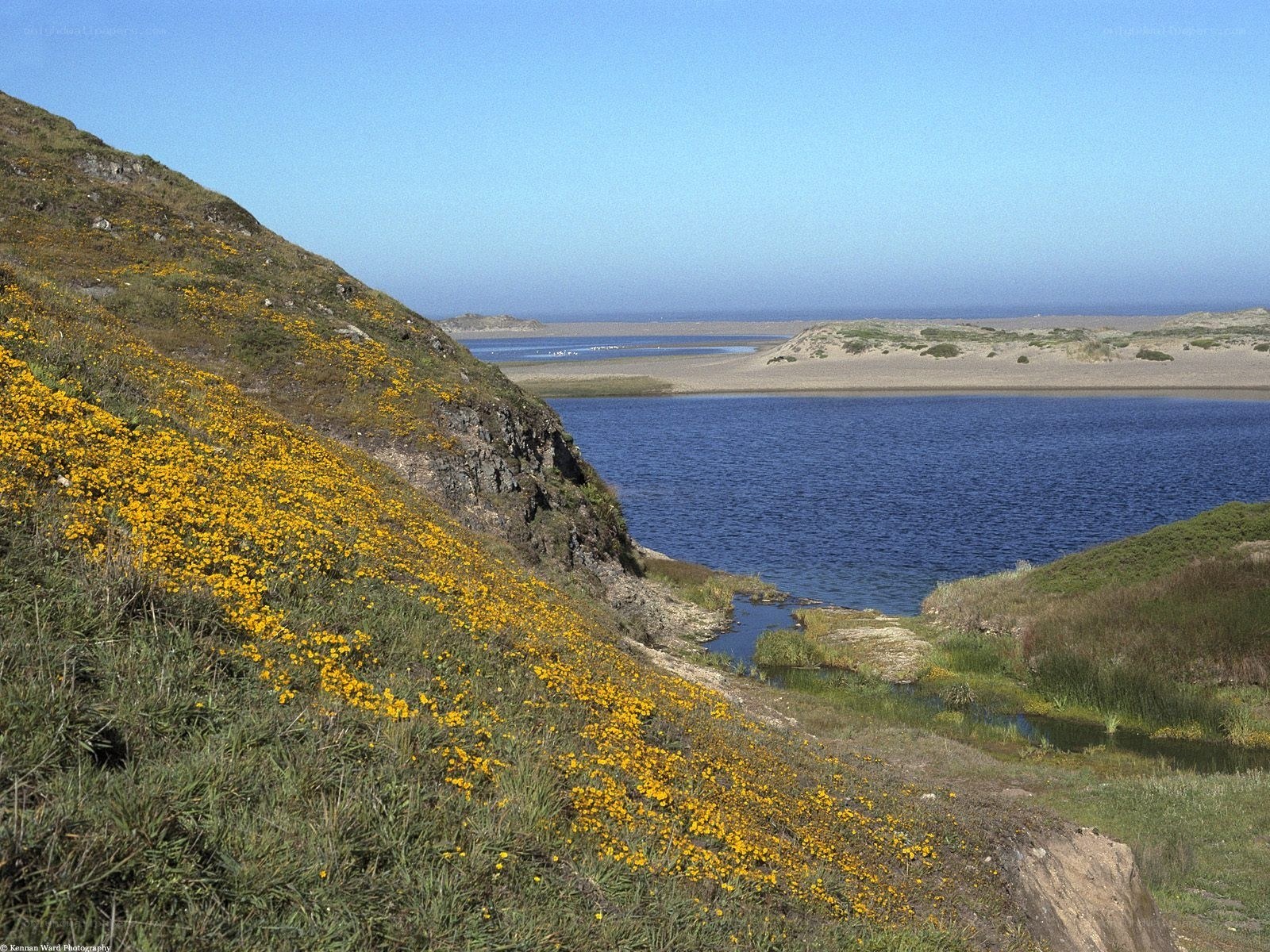 Floral hillside overlooking a lagoon