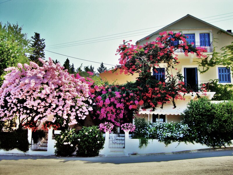 Floral house in a sunny town