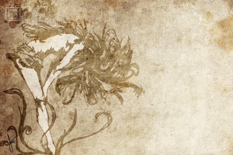 Floral Illustration on Aged Paper