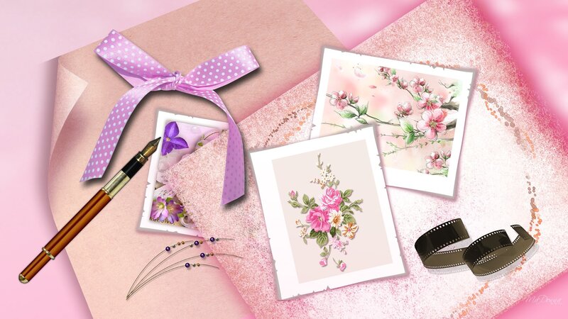 Floral Illustrations and Stationery