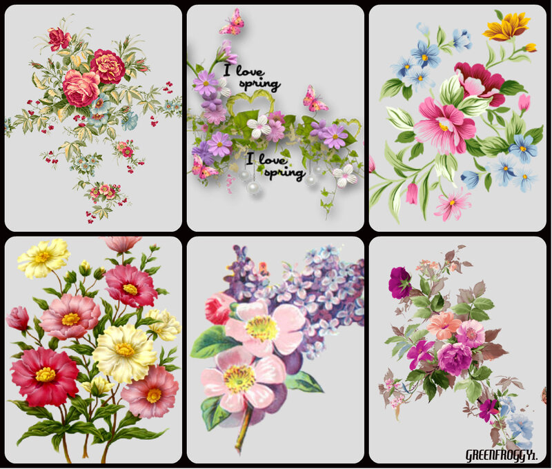 Floral Illustrations