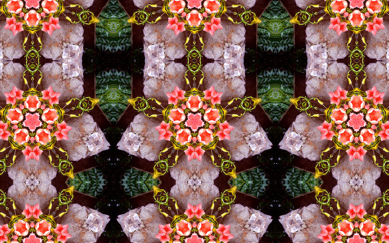Floral kaleidoscopic pattern