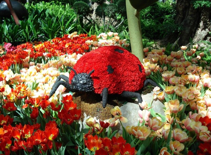 Floral ladybug sculpture in garden