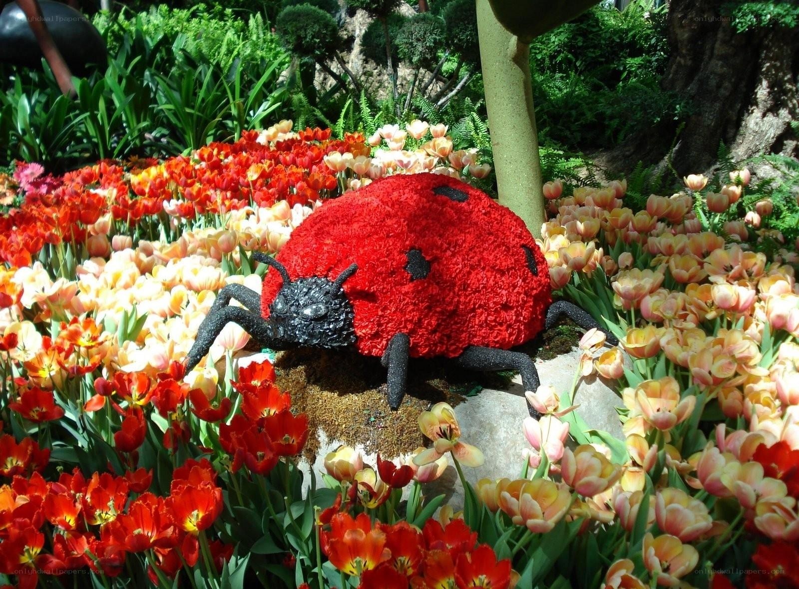 Floral ladybug sculpture in garden