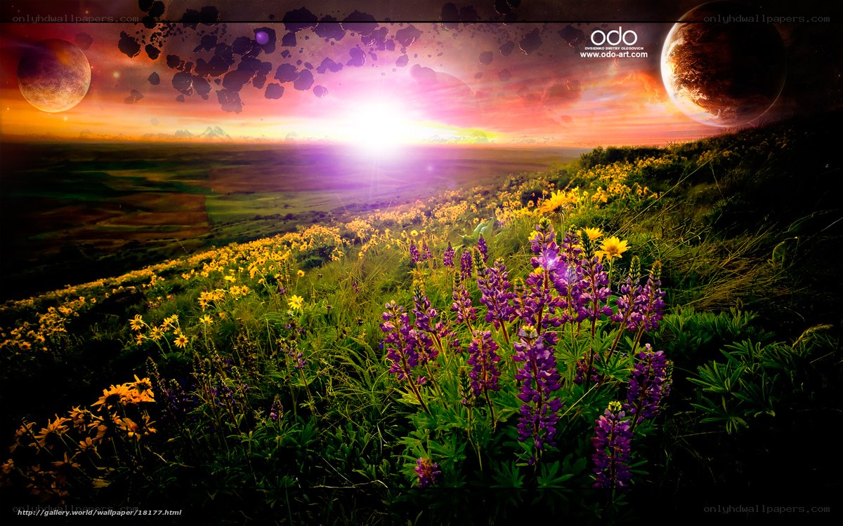 Floral landscape on alien planet