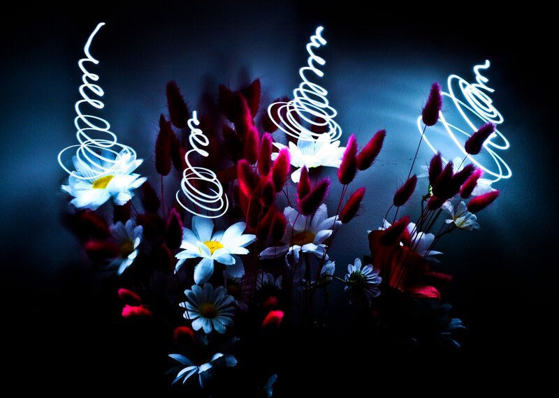 Floral light painting art