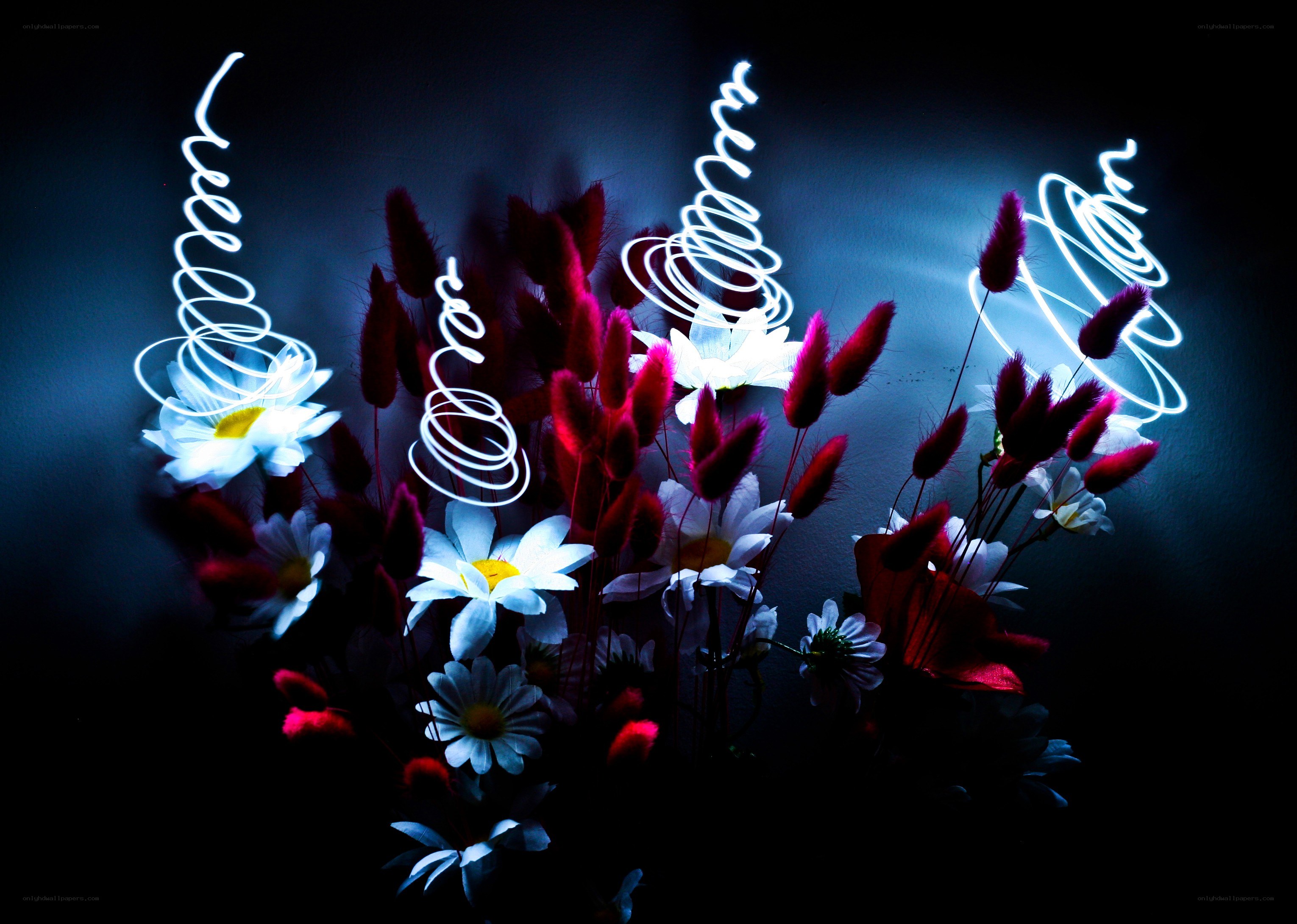 Floral light painting art