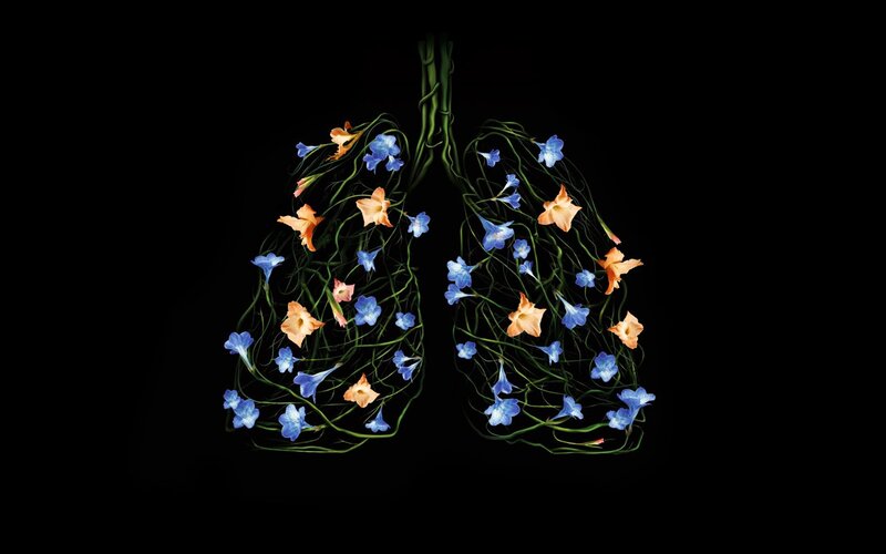Floral lungs art