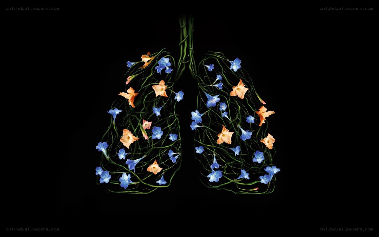 Floral lungs art