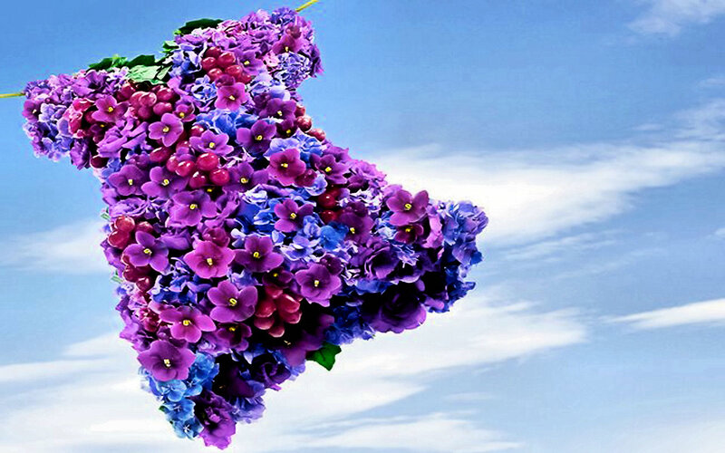 Floral map of Ukraine