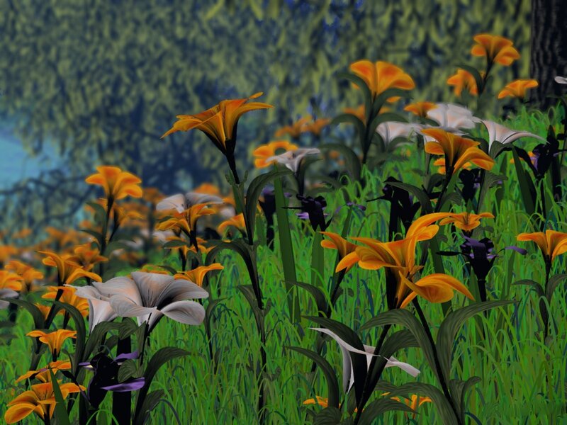 Floral meadow in forest