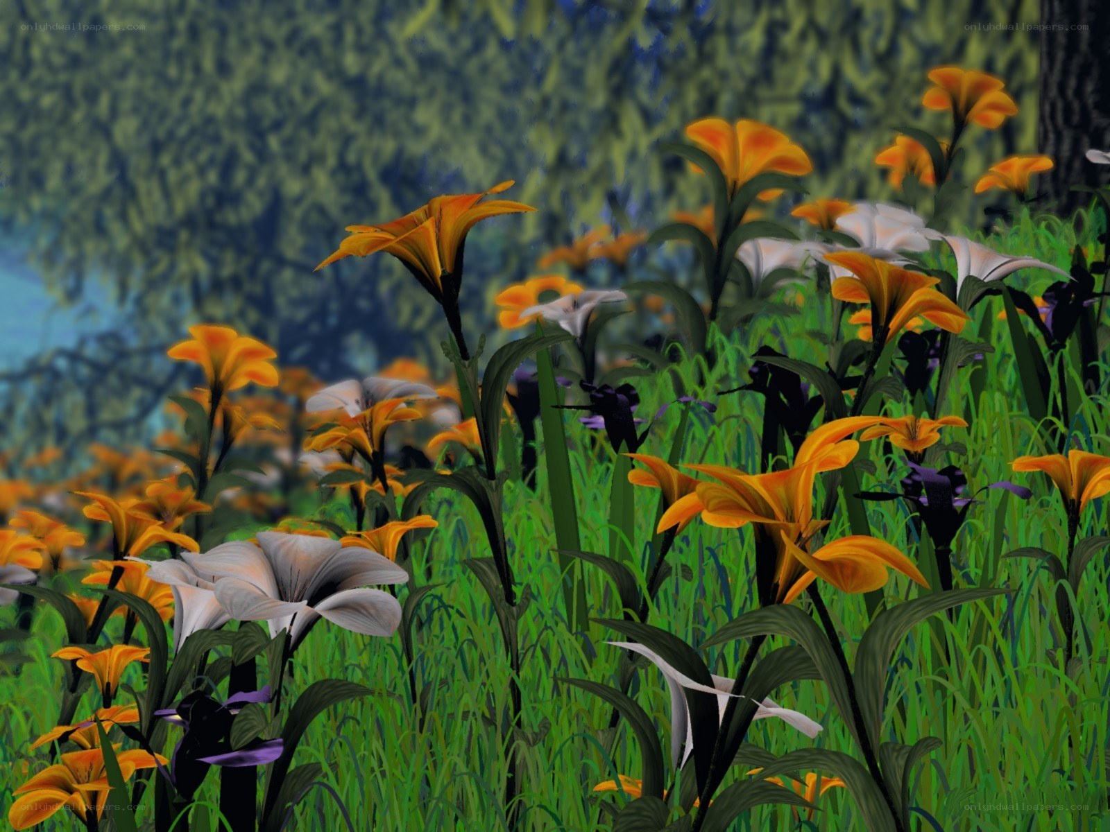 Floral meadow in forest