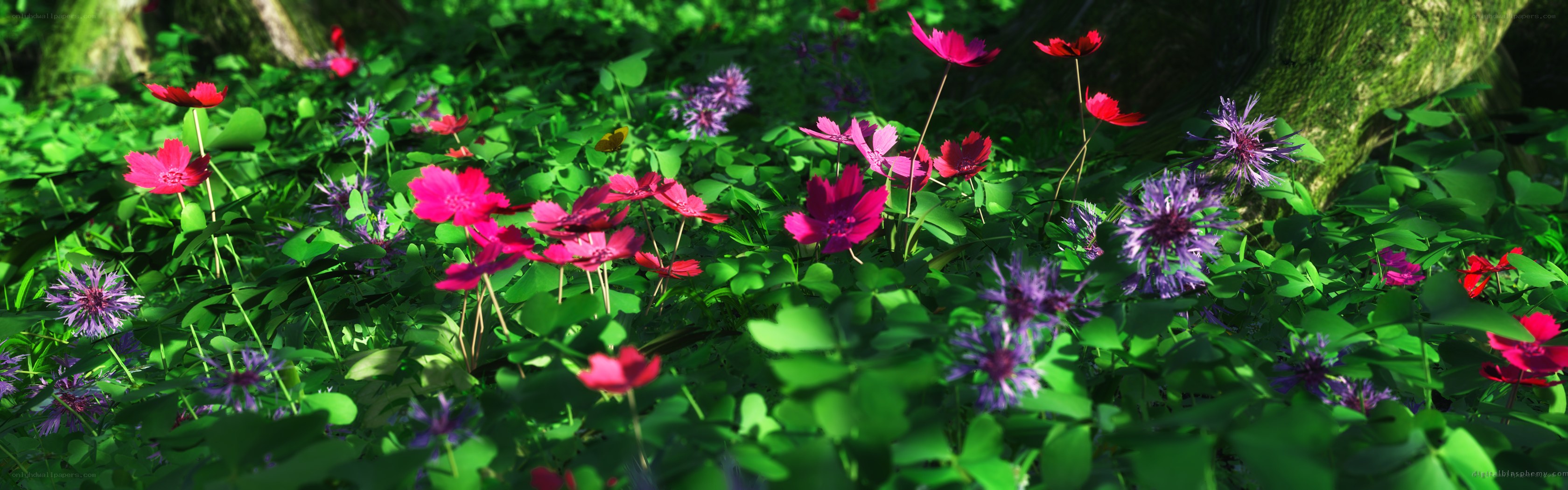 Floral meadow in sunlight