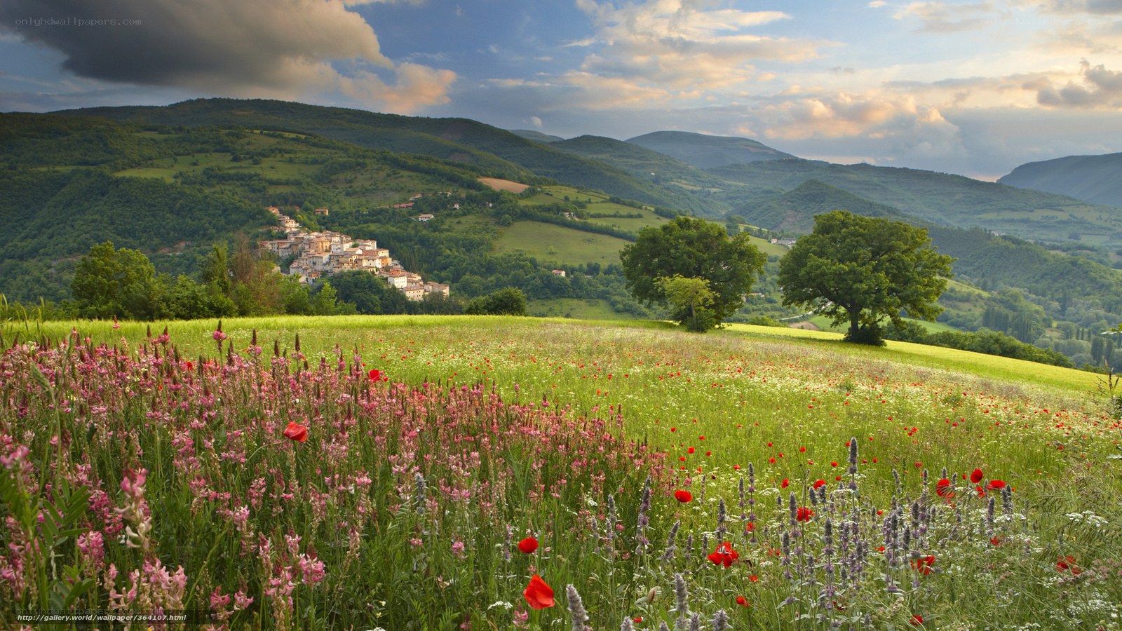 Floral meadow with hilltop village
